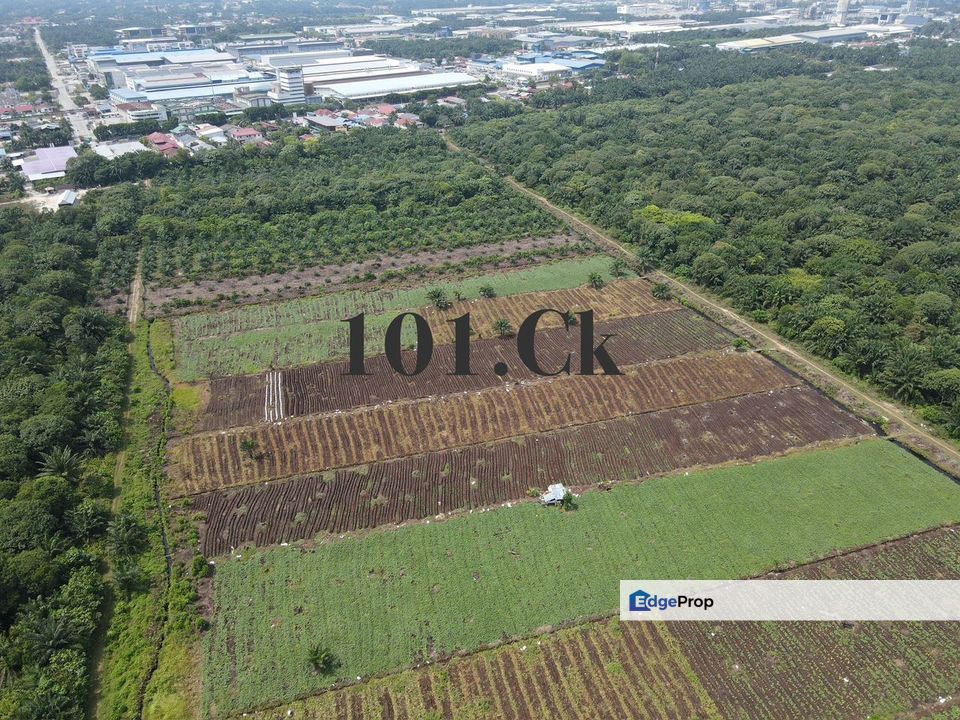 2.16arces Argriculture Land for sales Sijangkang, Telok Panglima Garang, Selangor, Telok Panglima Garang