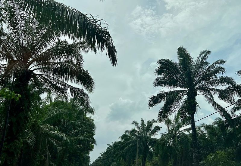 Sijangkang @ Industrial