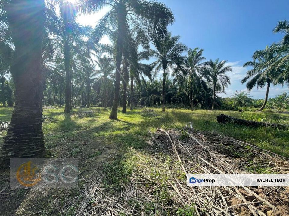 BELOW MARKET VALUE!!  3.6Acres Zoning Residential Land@Bandar Mahkota Banting Kuala Langat (Nearby Top Glove Factory), Selangor, Banting