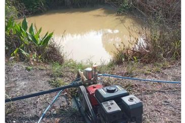 FREEHOLD 4.38 ACRE Durian Farm@ Sungai Ruan Raub Pahang