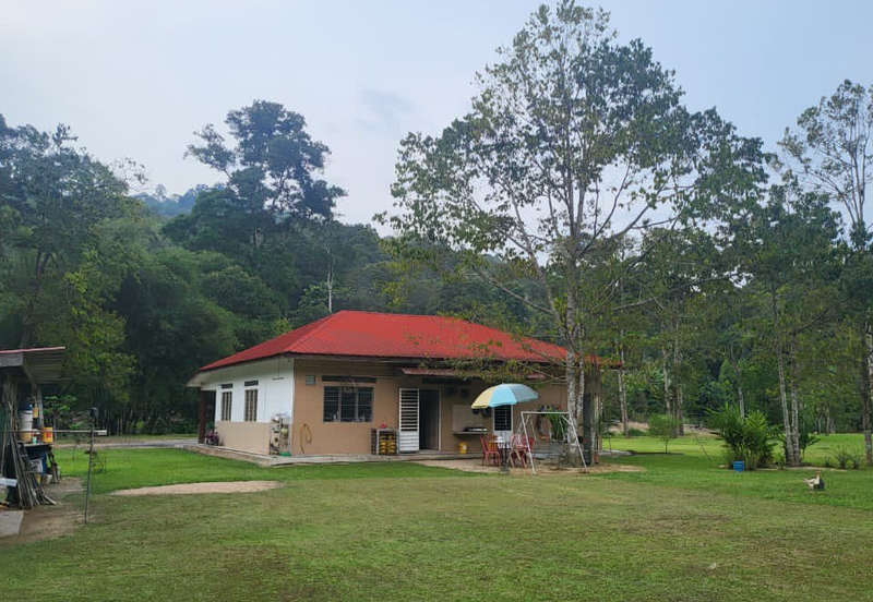 Tanah Kebun For Sales di Jelebu Negeri Sembilan