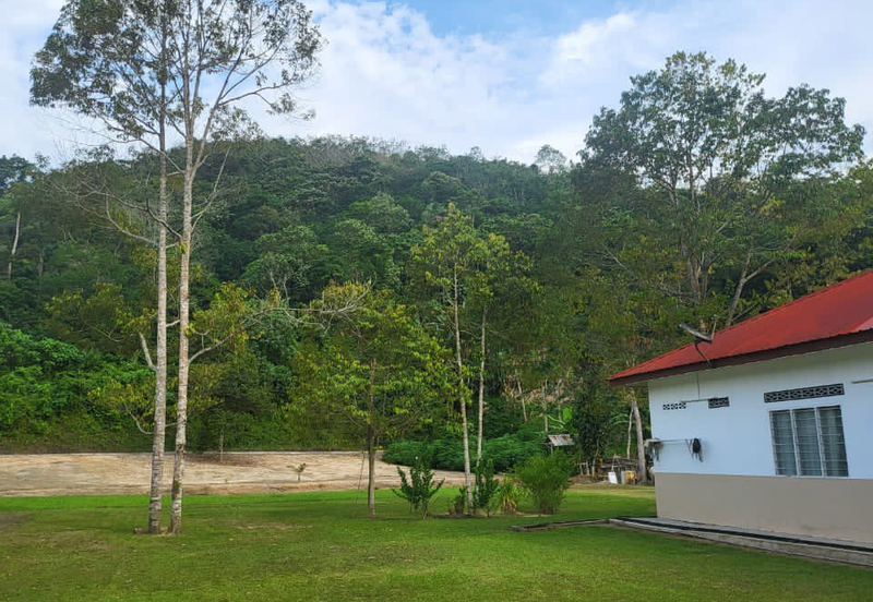 Tanah Kebun For Sales di Jelebu Negeri Sembilan