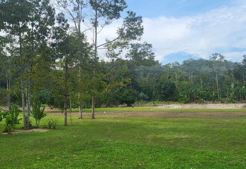 Tanah Kebun For Sales di Jelebu Negeri Sembilan