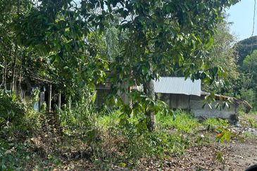 Lot 356, Seberang Perai Selatan