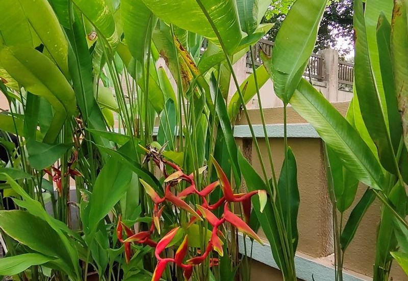 Fully Furnished 2-Storey Bungalow Bukit Jelutong Shah Alam