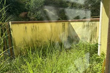 Bukit Jelutong 2 Storey Greenlane