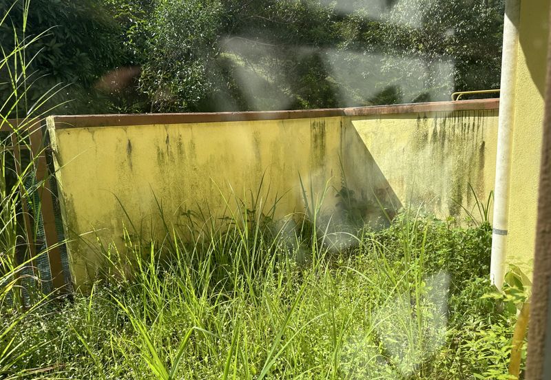 Bukit Jelutong 2 Storey Greenlane