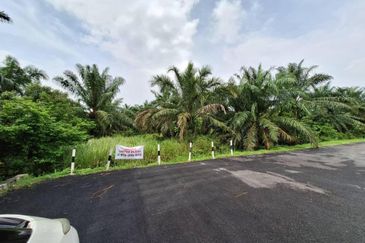 Agriculture Land at Permatang Pasir Banting For Sale
