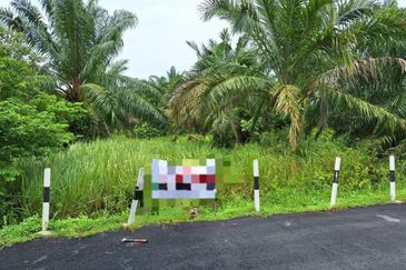 Agriculture Land at Permatang Pasir Banting For Sale