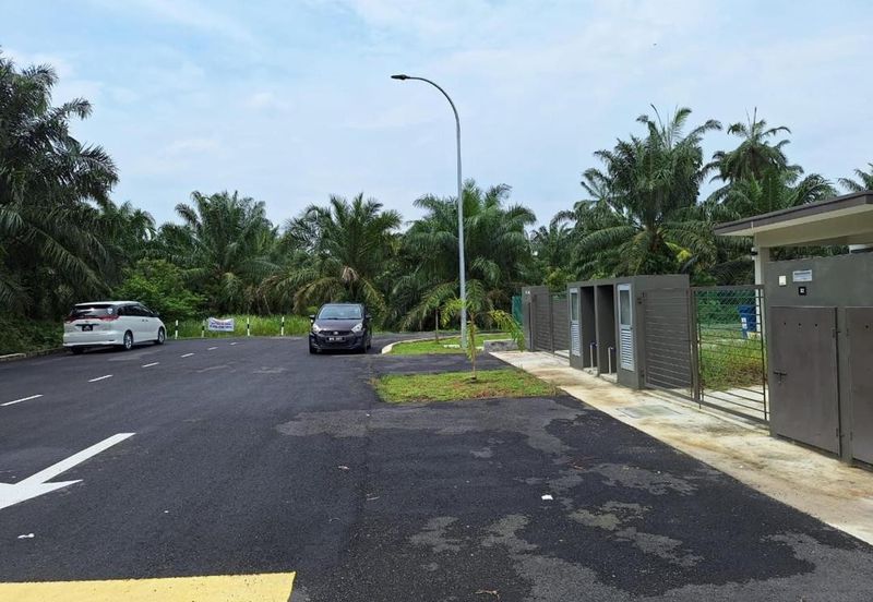 Agriculture Land at Permatang Pasir Banting For Sale