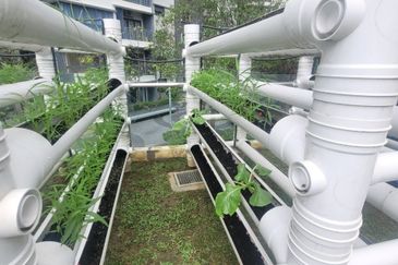 Suria Residence by Sunsuria