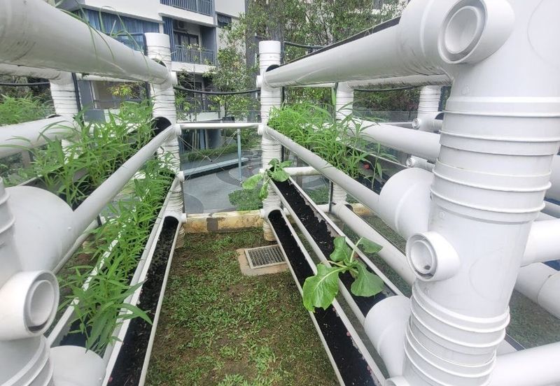 Suria Residence by Sunsuria