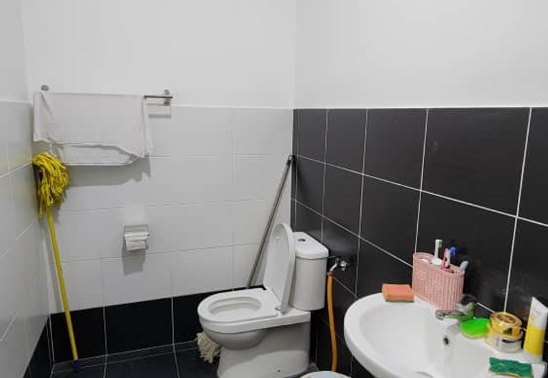 The Rainforest @ Eco Tropics