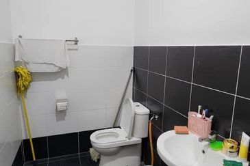 The Rainforest @ Eco Tropics