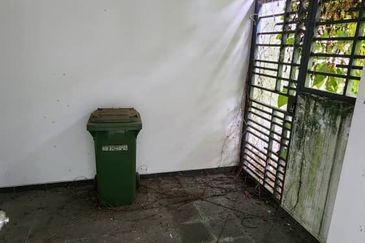 The Rainforest @ Eco Tropics