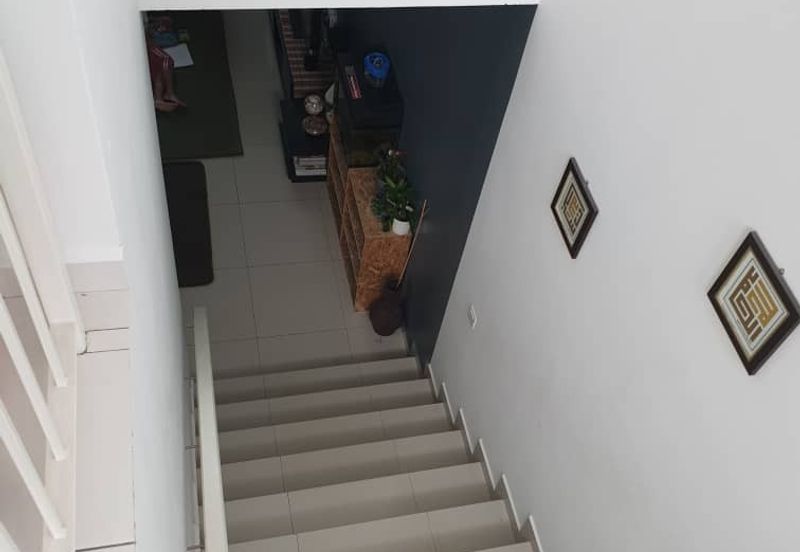 The Rainforest @ Eco Tropics