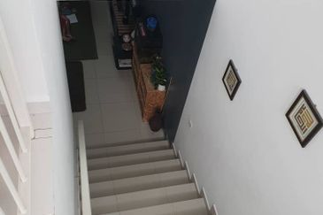 The Rainforest @ Eco Tropics