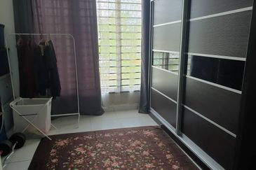 The Rainforest @ Eco Tropics