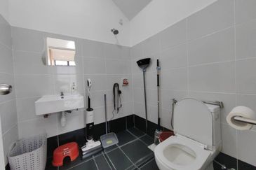 Eco Tropics Clovercott 