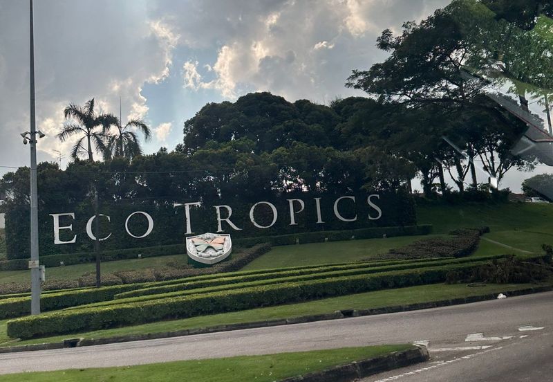 Eco Tropics