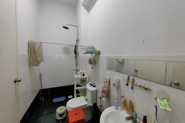 The Rainforest @ Eco Tropics