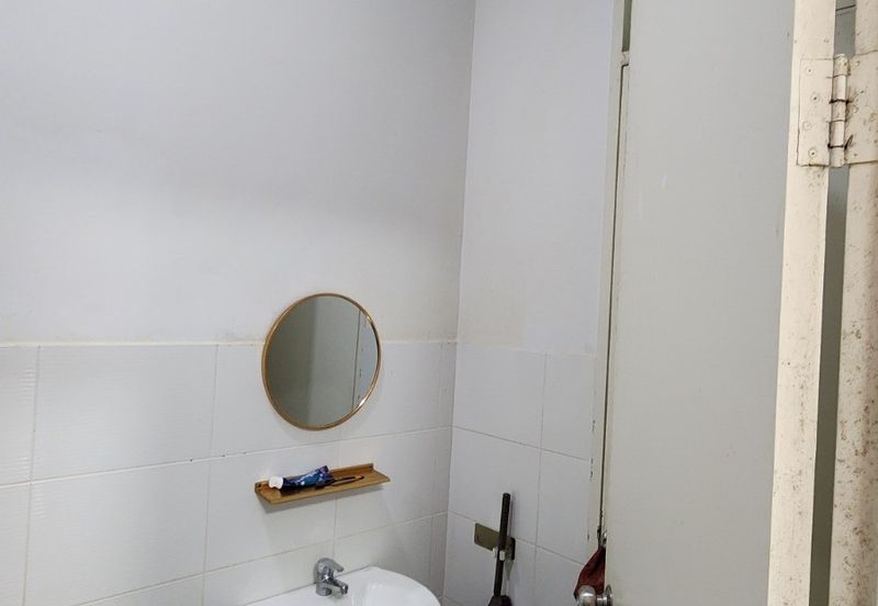 The Rainforest @ Eco Tropics