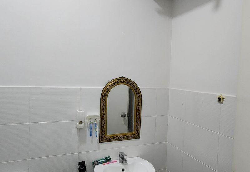 The Rainforest @ Eco Tropics