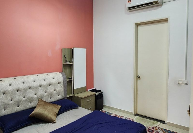 The Rainforest @ Eco Tropics