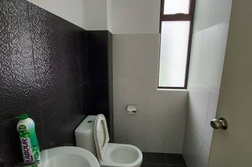 The Rainforest @ Eco Tropics