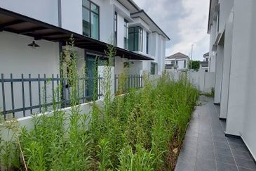 The Rainforest @ Eco Tropics