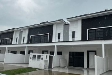 Tate Dalton @ Eco Botanic 2