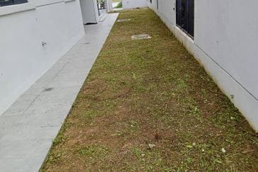 Reesia Elmina Garden