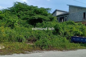 Taman Taynton (Taynton View)