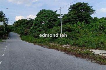 Taman Taynton (Taynton View)