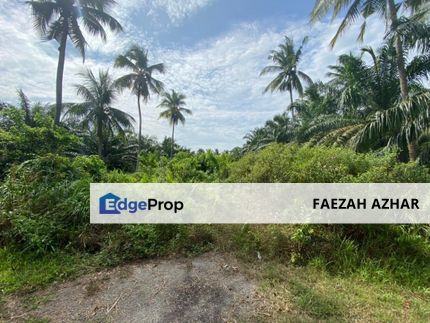 TANAH PERTANIAN KG AIR PAPAN, MERSING UNTUK DIJUAL, Johor, Mersing