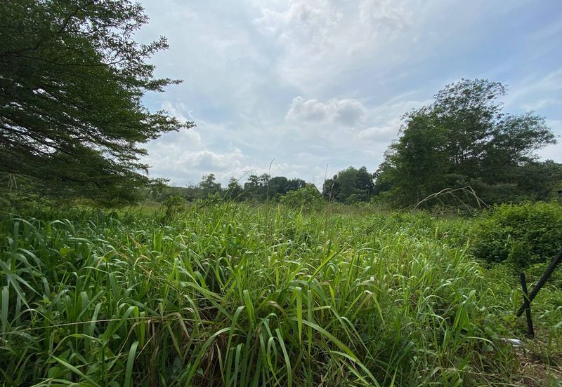 COMMERCIAL LAND at Kota Tinggi For Sale
