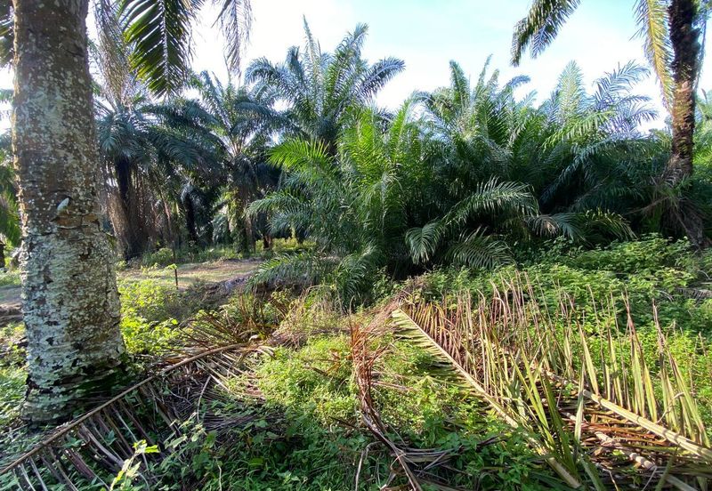 SEDILI BESAR-TENGGAROH : Tanah Tepi Jalan Utama Untuk Dijual