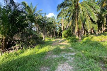 SEDILI BESAR-TENGGAROH : Tanah Tepi Jalan Utama Untuk Dijual