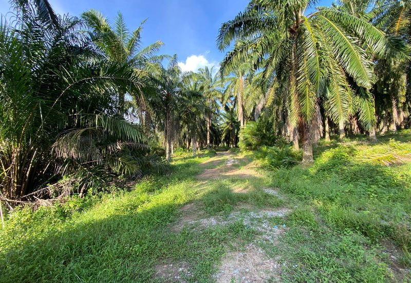 SEDILI BESAR-TENGGAROH : Tanah Tepi Jalan Utama Untuk Dijual