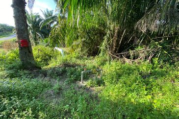 SEDILI BESAR-TENGGAROH : Tanah Tepi Jalan Utama Untuk Dijual