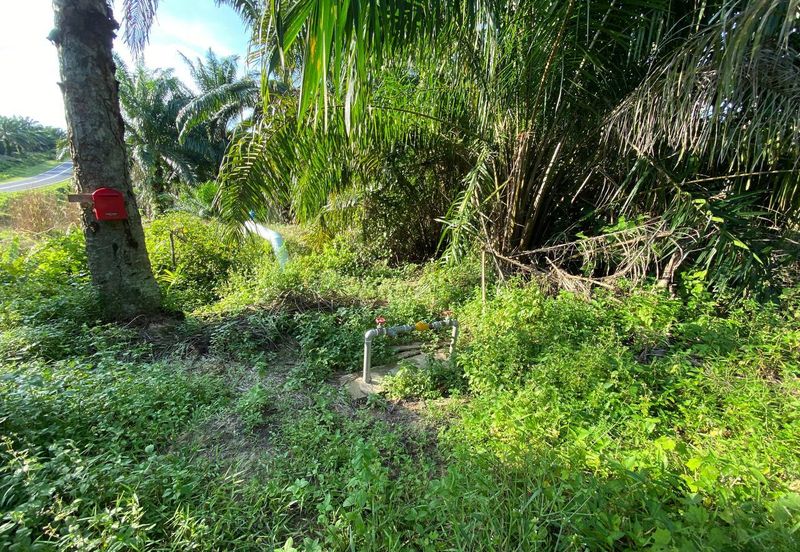 SEDILI BESAR-TENGGAROH : Tanah Tepi Jalan Utama Untuk Dijual