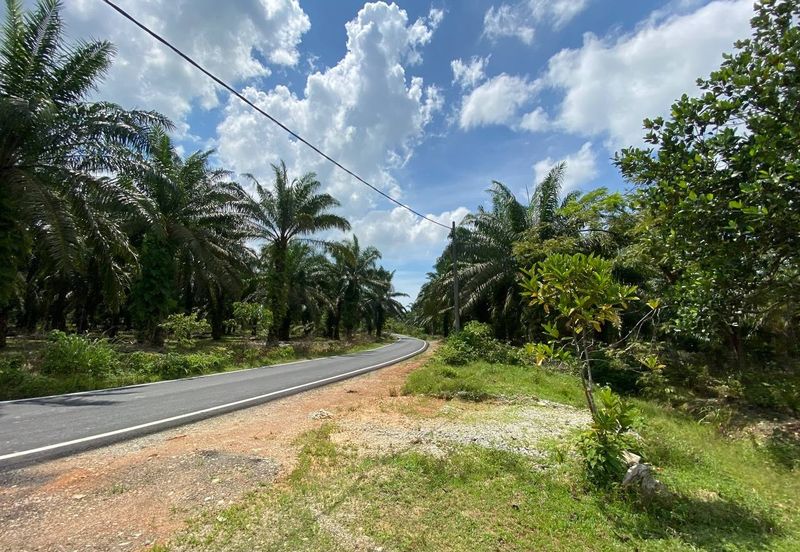 KOTA TINGGI : Tanah 2 Ekar Beserta Rumah utk Dijual