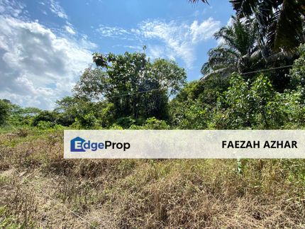 3.87 EKAR TANAH KAMBAU, SEDILI UNTUK DIJUAL, Johor, Kota Tinggi