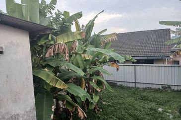 Kampung Melayu Majidee