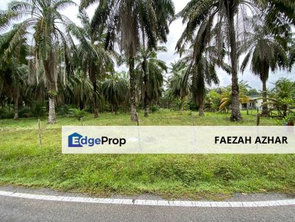 TANAH PERTANIAN 4.5 EKAR @ ENDAU, MERSING UNTUK DIJUAL, Johor, Mersing