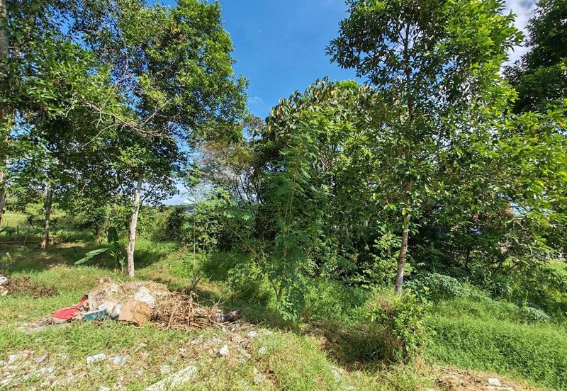 TANAH LOT LUAS @ KG MAJU JAYA, KEMPAS LAMA FOR SALE