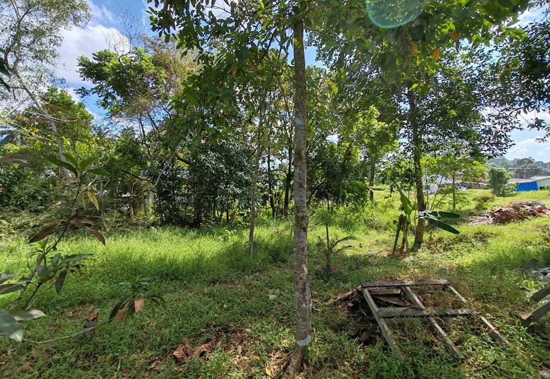 TANAH LOT LUAS @ KG MAJU JAYA, KEMPAS LAMA FOR SALE