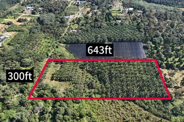 TANAH SAWIT 4 EKAR @ KG DESA MAKMUR, KOTA TINGGI UTK DIJUAL