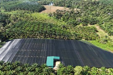 TANAH SAWIT 4 EKAR @ KG DESA MAKMUR, KOTA TINGGI UTK DIJUAL
