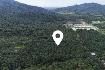 TANAH 6 EKAR @ KG LUKUT, KOTA TINGGI FOR SALE